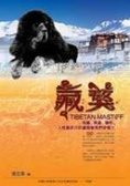 藏獒 = Tibetan mastiff